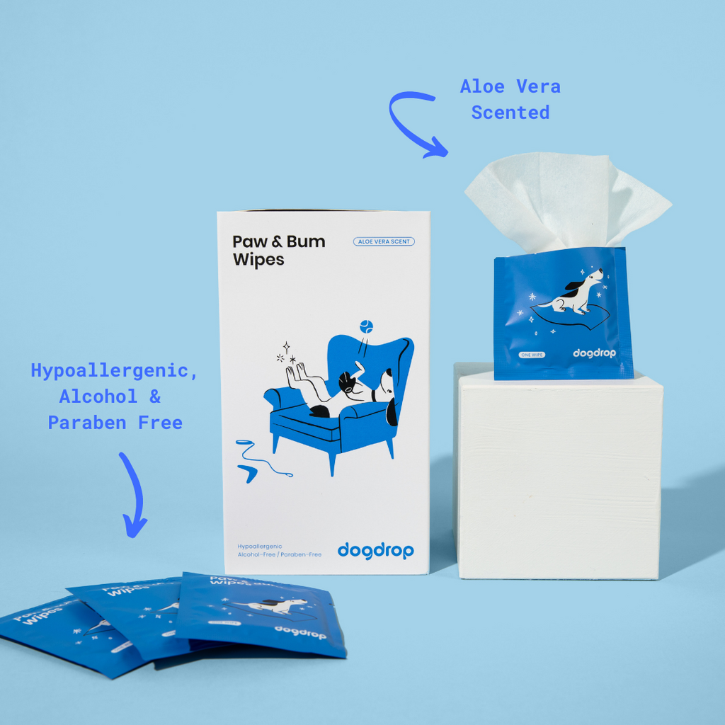 Paw & Bum Wipes (64 packets)