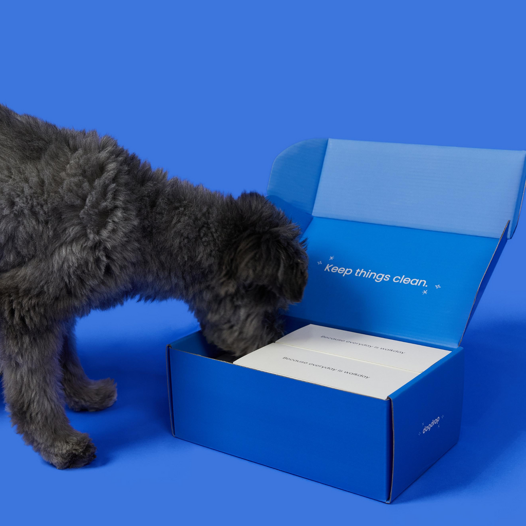 Paw & Bum Wipes (64 packets)