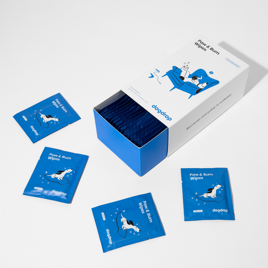 Wipes for dogs bum deals